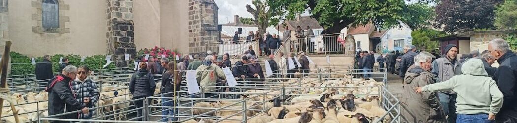 Belle réussite pour la Foire aux moutons de Louroux