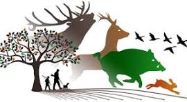 Assemblée Générale Société de Chasse Maillet